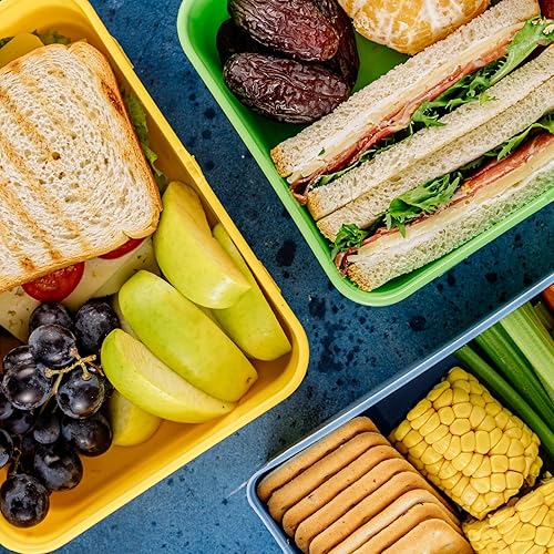 Miniatura 7 de PATIKIL Lonchera para mujereshombres, bolsa térmica térmica reutilizable de 11 x 5.5 x 8.3 pulgadas para el trabajo, picnic al aire libre, azul y