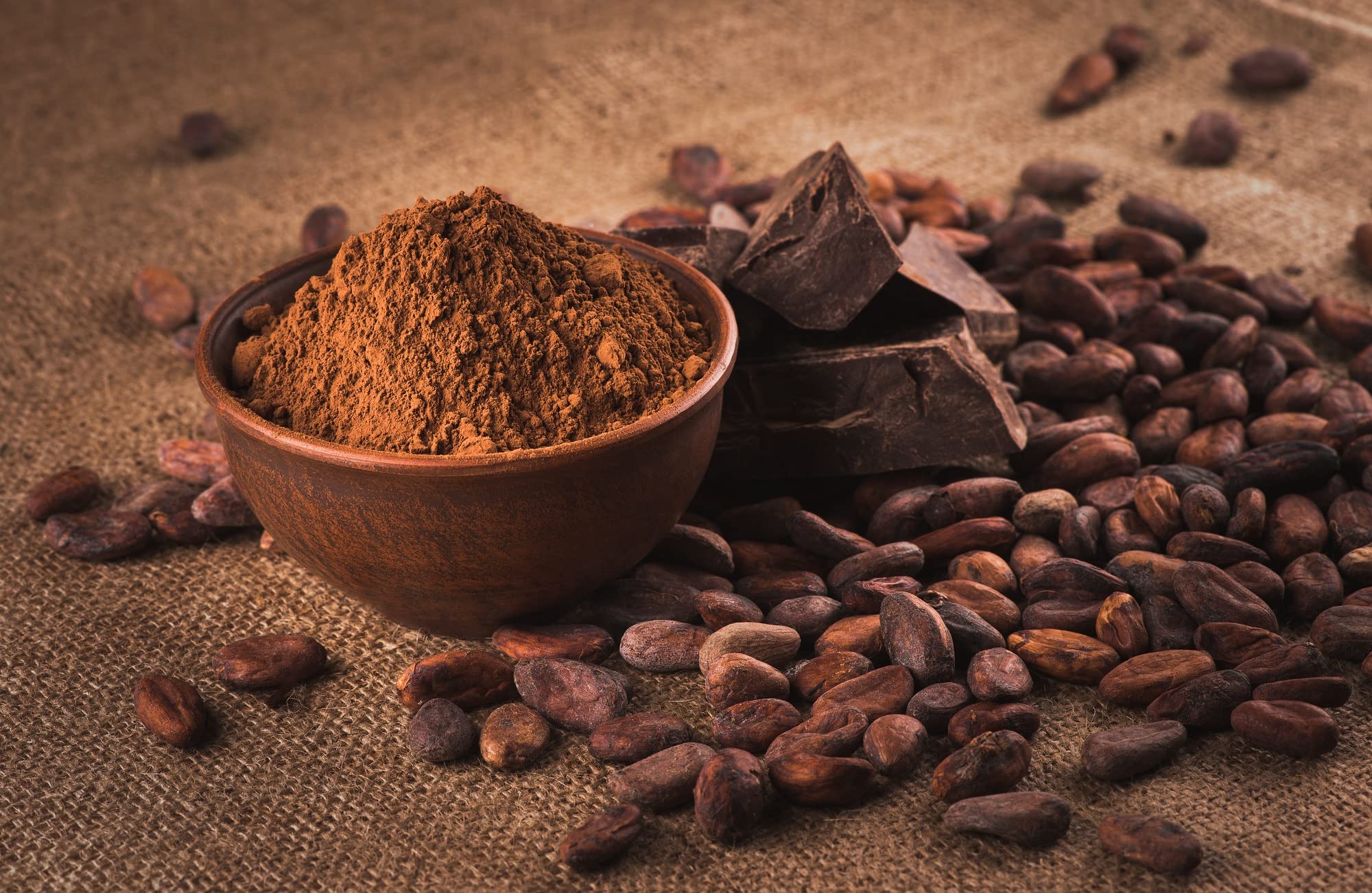 Mynatura Bio Kakao, stark entölt I Kakaopulver I Cacao I entölt I Backen I Getränk I Kochen I Rein pflanzliches Pulver I Vegan I Im Beutel (3x 1000g)
