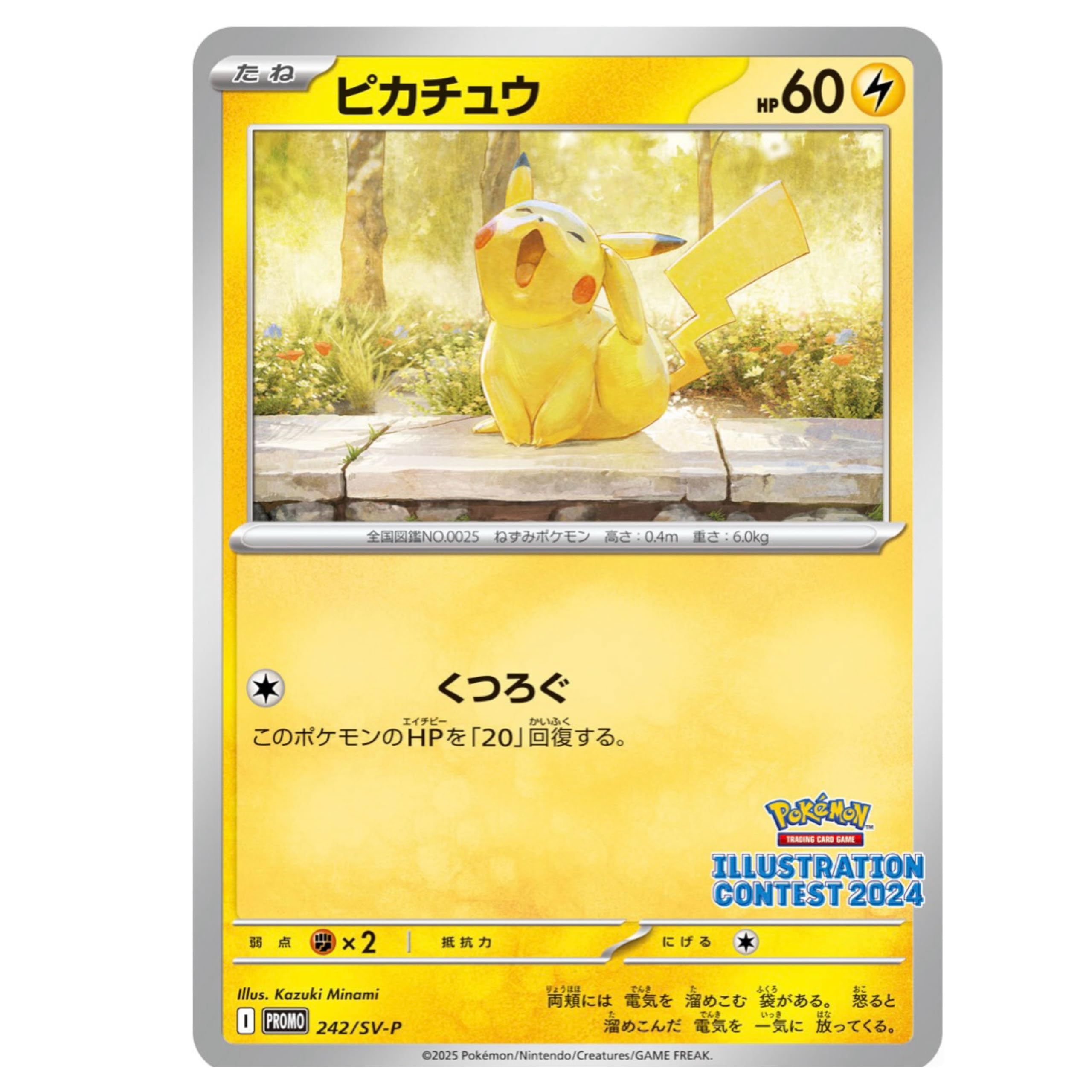 【新品・未開封】プロモカード イラストコンテスト2024 ピカチュウ オーダイル Amazon.co.jp: 【正規品・未開封1パック(3枚セット