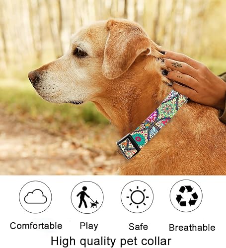 Miniatura 6 de Collar de perro, lindo collar de perro para perros pequeños, medianos y grandes, collares suaves personalizados ajustables para mascotas con hebilla