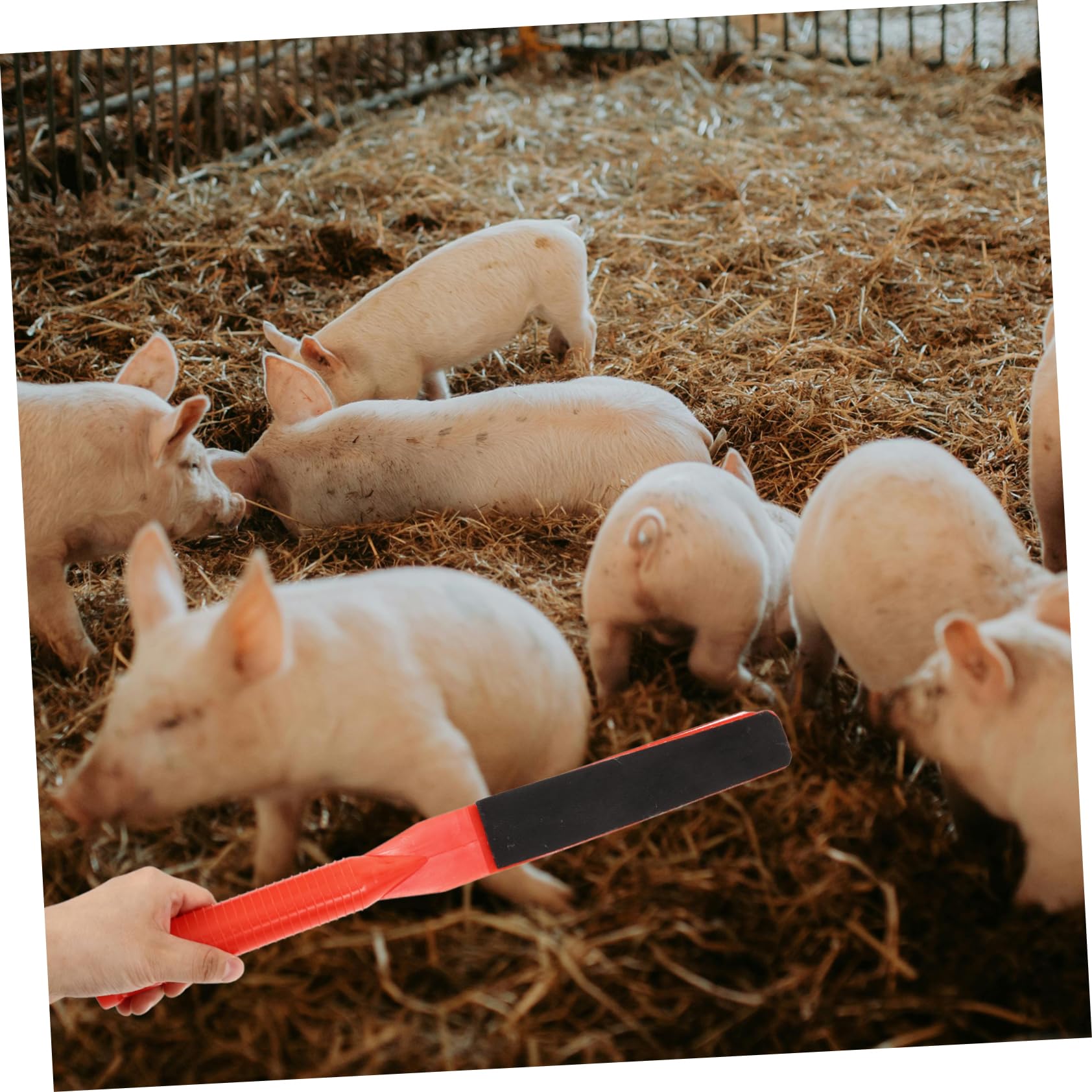 ifundom 4 Pezzi Paddle per Bestiame Resistente All Usura Strumento Maneggevole per Maiali e per Condizioni Umide Accessorio per Agricoltori e Leggero