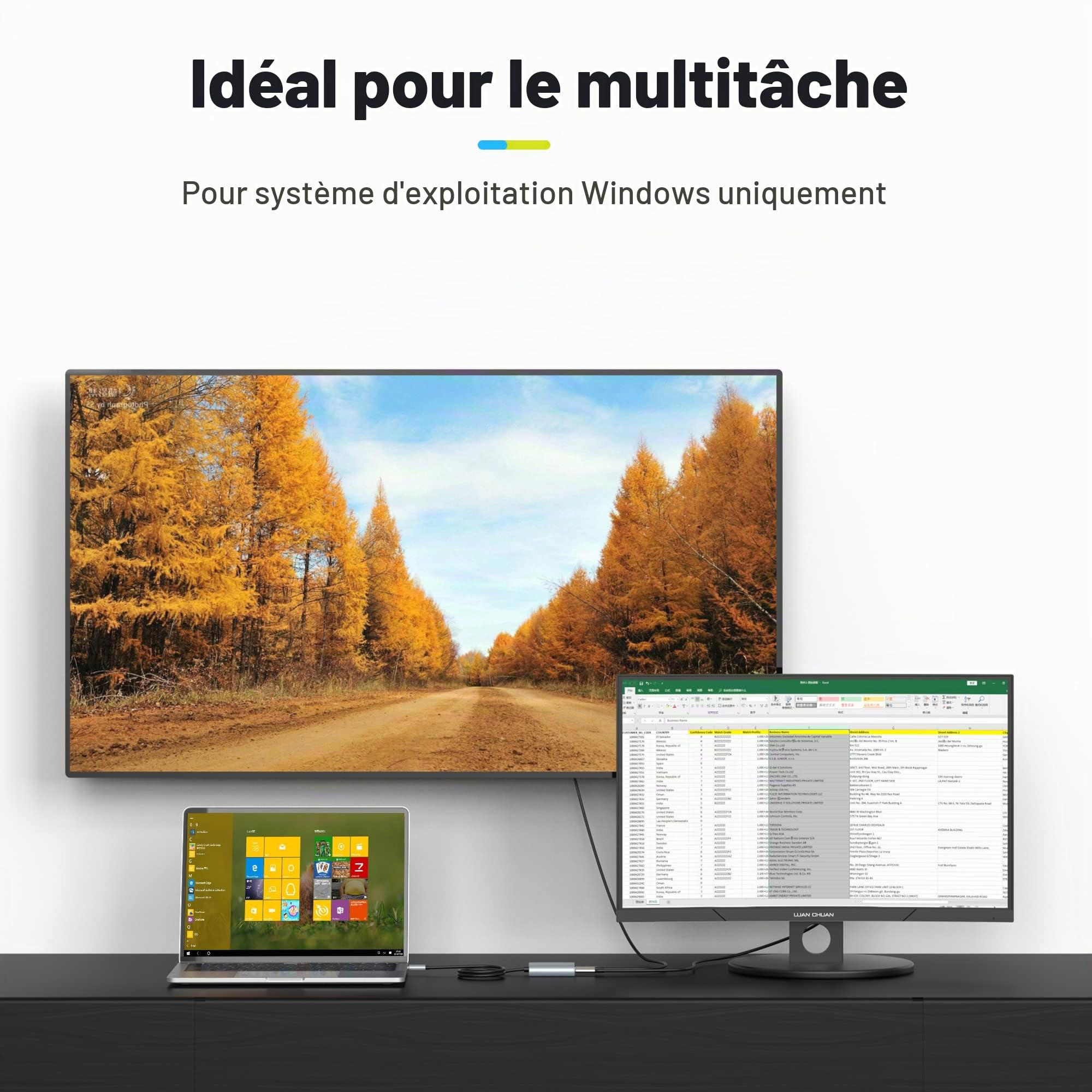 Fairikabe Adaptateur USB C vers Double HDMI 4K 60 Hz, USB C Splitter 2 moniteurs Affichage étendu, concentrateur HDMI de Type C (Mode DP Alt requis) Compatible avec Thunderbolt 3