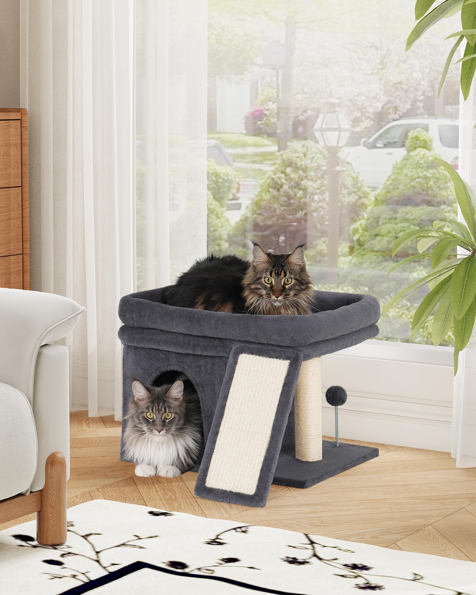Aechonow Tiragraffi Albero per Gatti Adulti, cuccia gatti, 50 * 40cm Grande Pertica, Spaziosa Casetta per Gatto da Interno, Torre Grotta per Gatti Grandi, Grigio Scuro