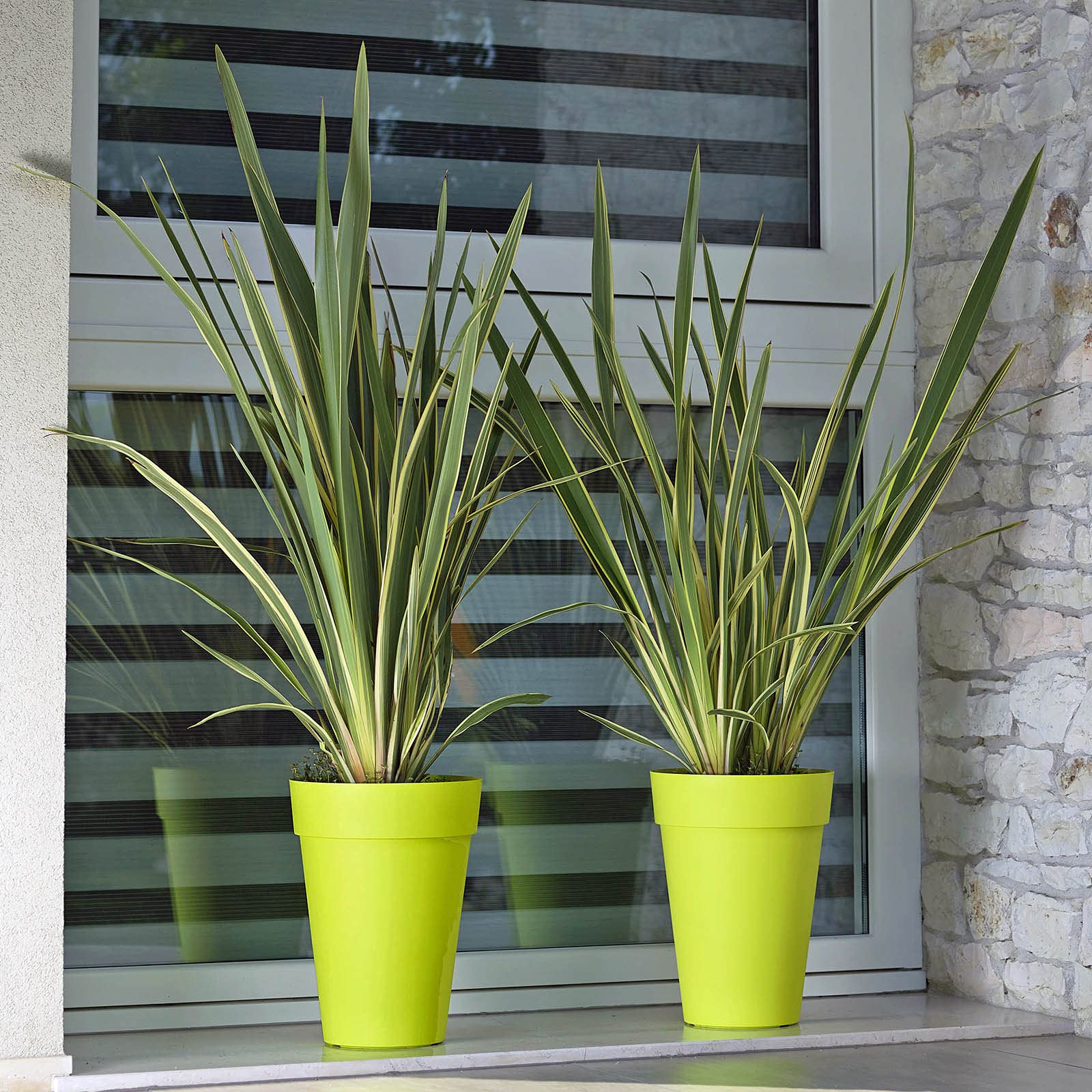 Euro3plast 3er-Set Blumentöpfe/Übertöpfe Liken Ø 27 cm, 34 cm, 41 cm, aus Kunststoff in Grün