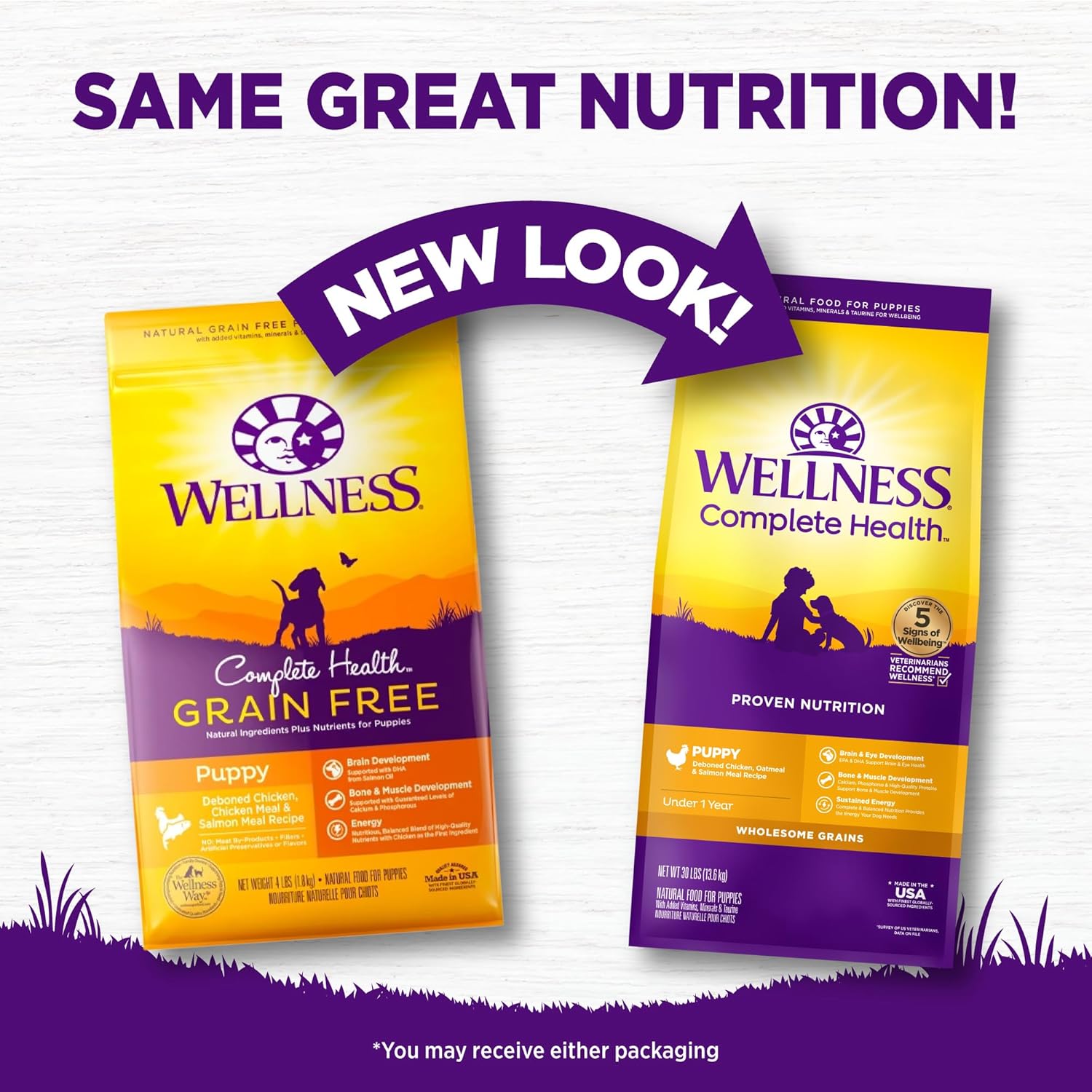 Wellness Complete Health Puppy Dry Dog Food, Wholesome Grain Kibble, Natural, Chicken, Oatmeal, and Salmon Recipe, 30 lb Bag