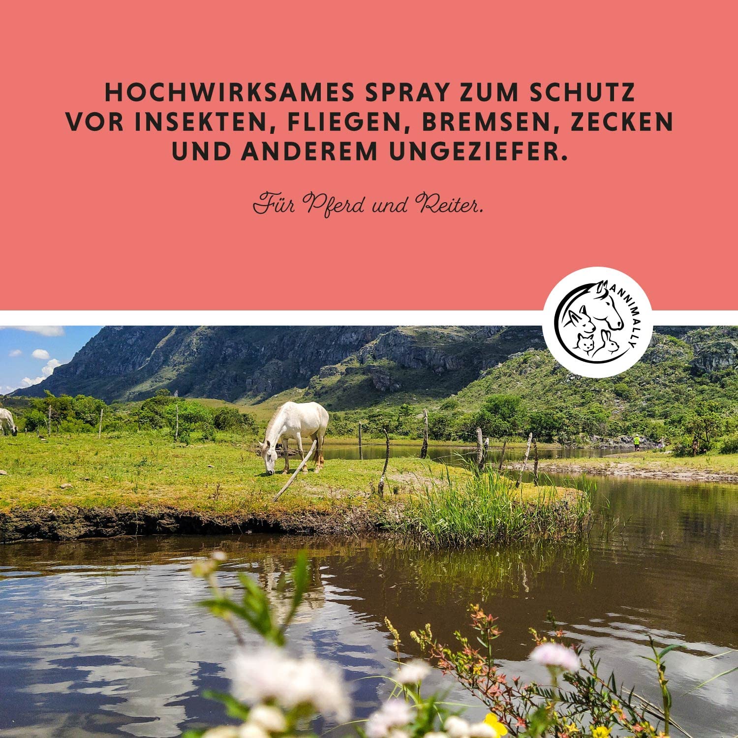 Fliegenspray Pferd 750 ML - Anti Bremsenspray Pferd für sofortigen Schutz gegen Fliegen, Bremsen, Kriebelmücken & Mücken - Insektenspray für Pferde auch als Bremsenspray für Pferde