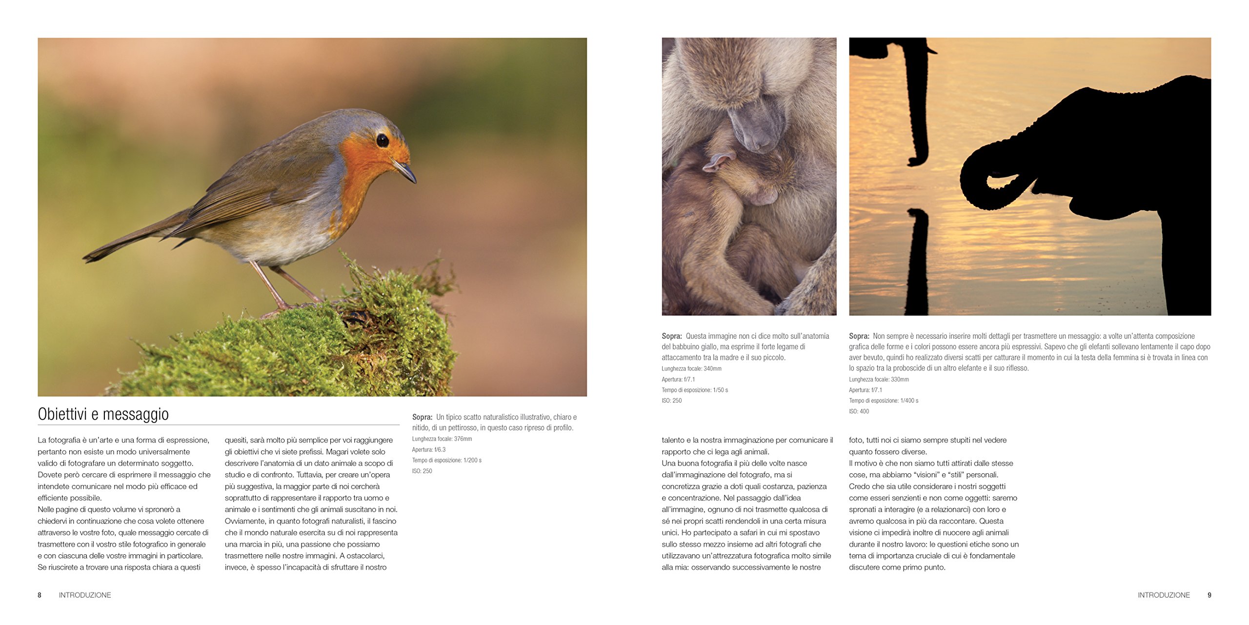 Natura selvaggia. Corso completo di tecnica fotografica