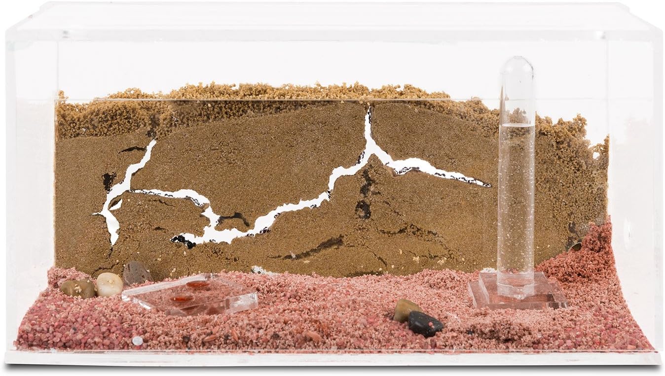 Sand Ant Farm - Educational formicarium for Live Ants