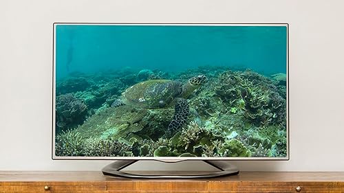 Tartaruga marinha calma - Sons tranquilos do oceano e visuais de recifes de coral para relaxamento p