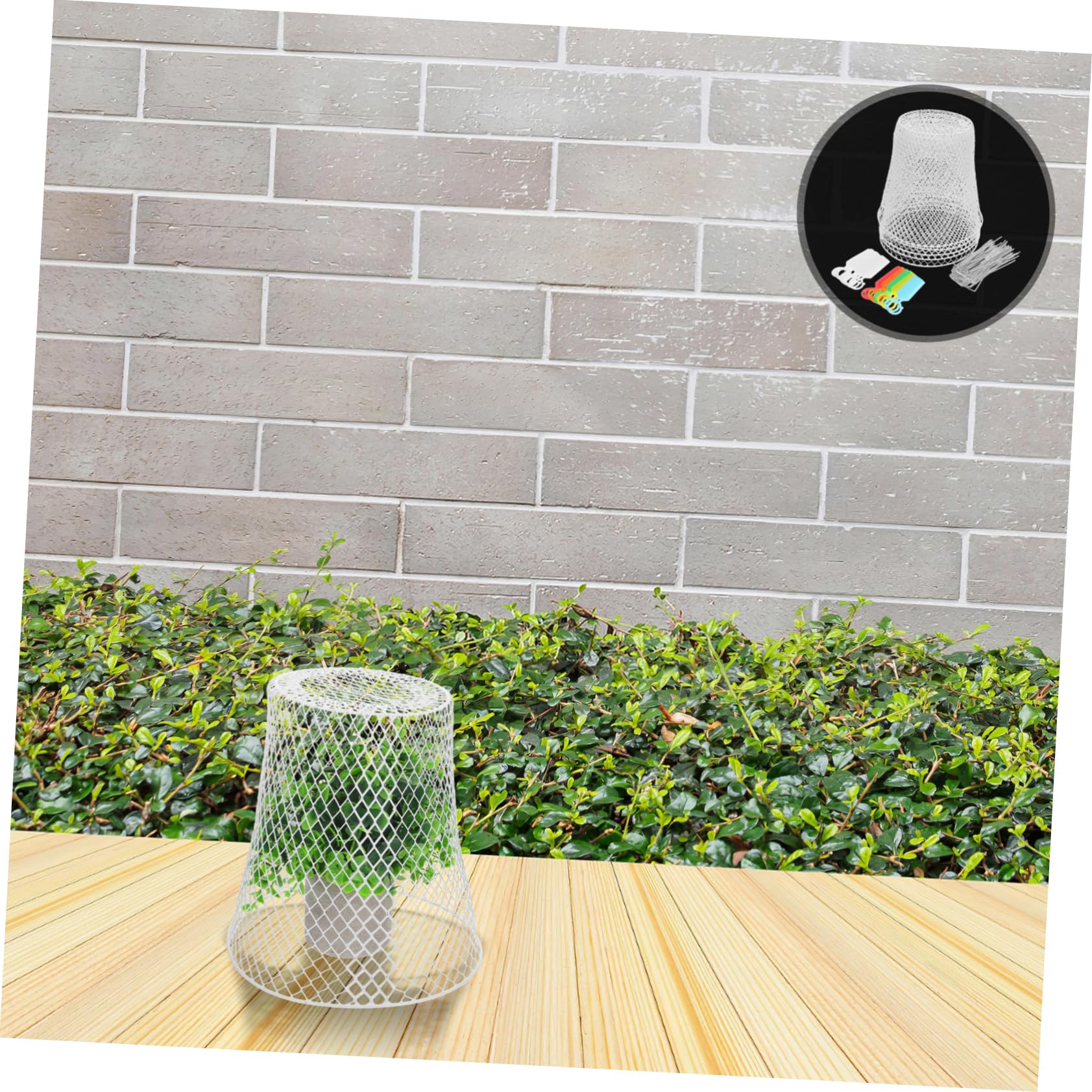 Cloches Métalliques pour Plantes Protection Animaux Jardins Et Facile Accès pour Arrosage