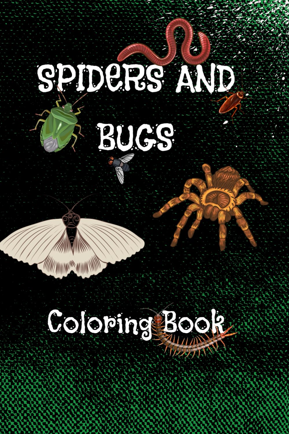 Spiders and Bugs Coloring Book