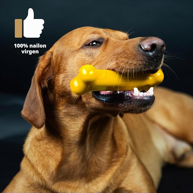Foto 3 de 7 de Tasty Bone - Juguete para Perro