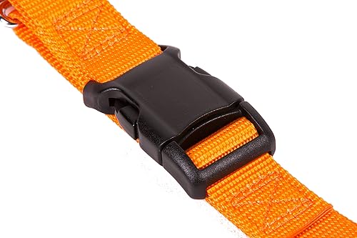 Vista 7 de GoGo Pet Products GoGo - Collar de perro Martingala de 3/8 pulgadas, talla XS, color naranja