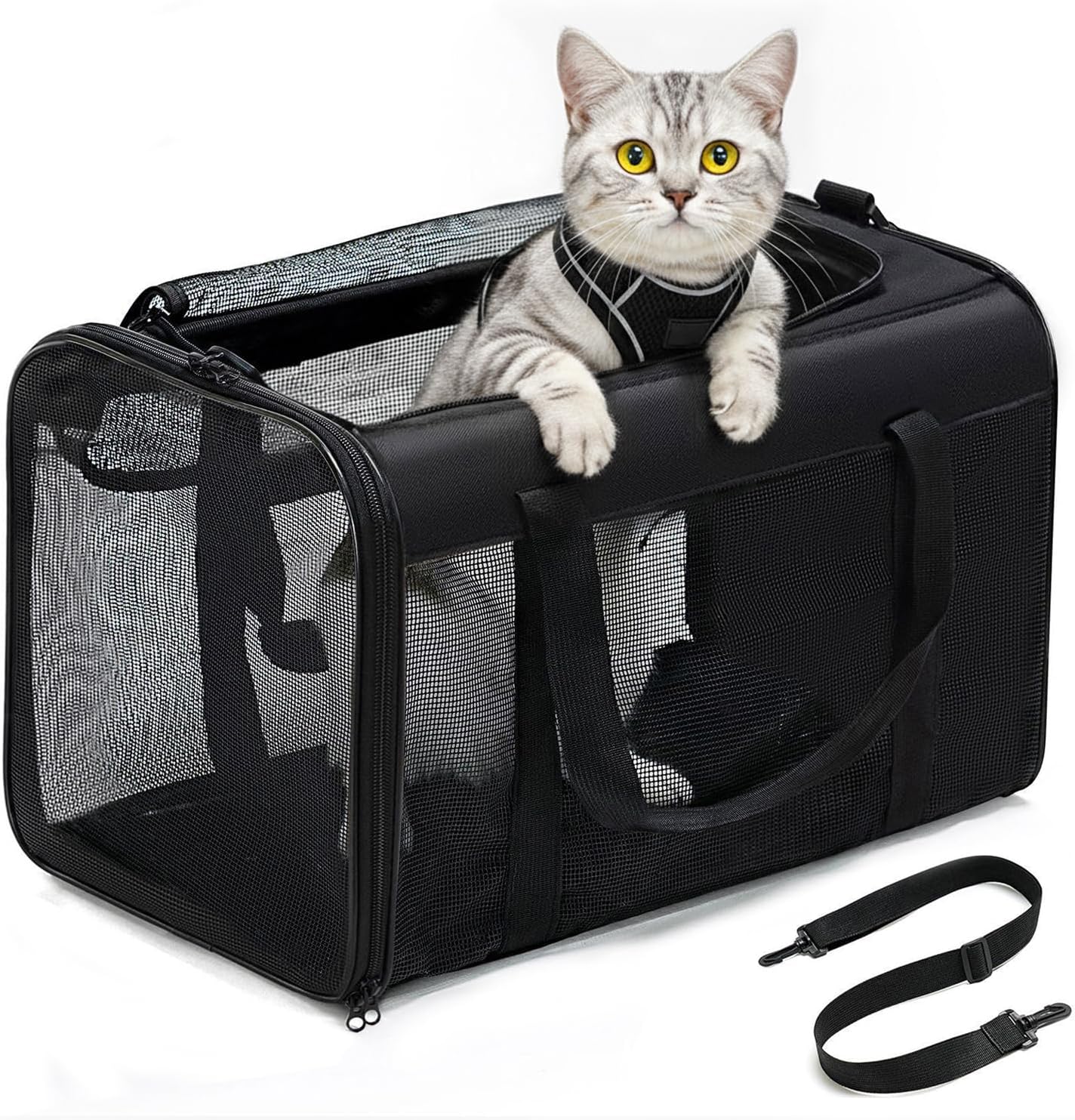 Photo inspiration: Conlun Cat Carrier Bag Soft Sided Pet Carriers For Dogs Photo Inspiration