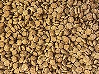 Review Image by sholmes