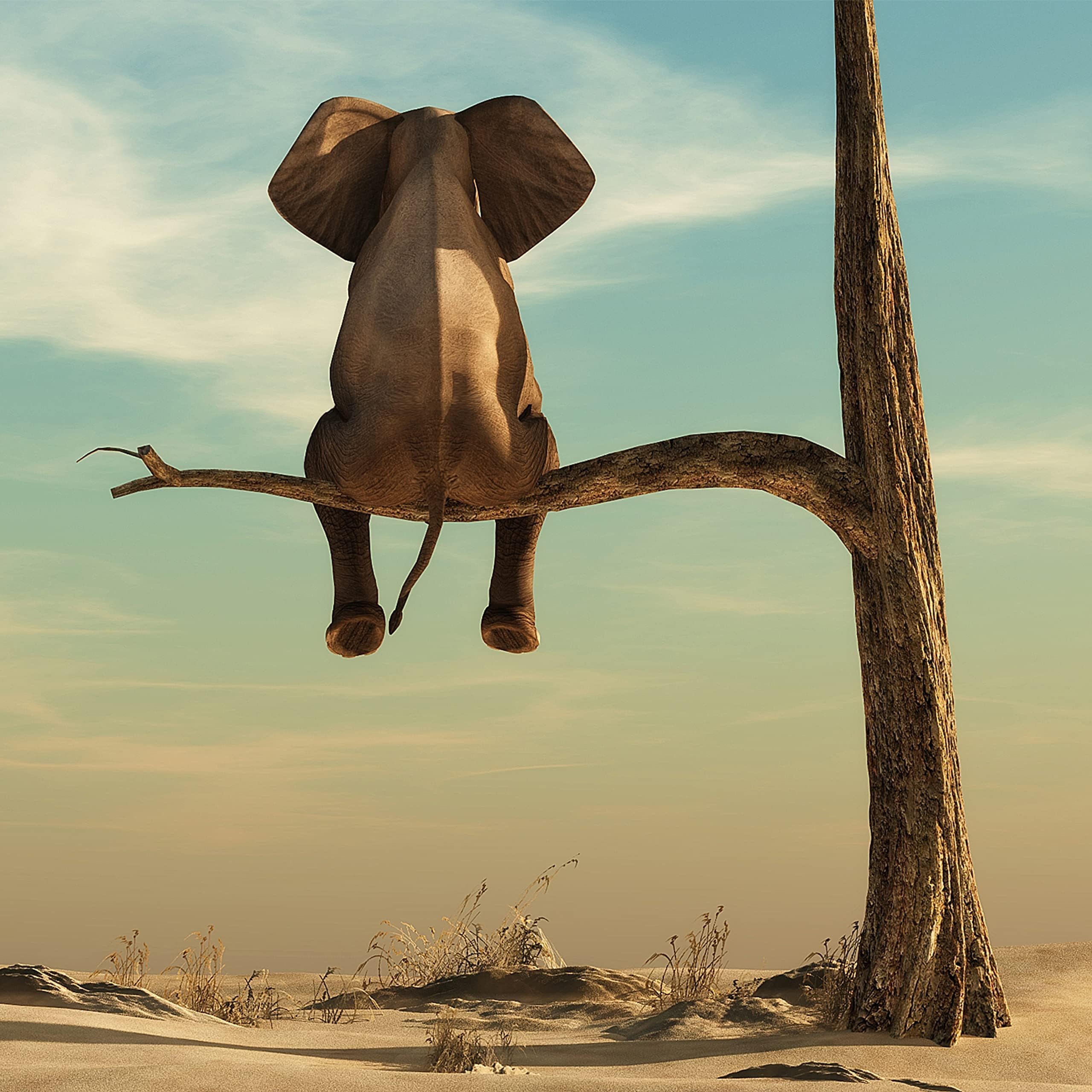 Música Gangsta Rap [Explicit] de Gangsta Rap, do álbum Gangsta Rap