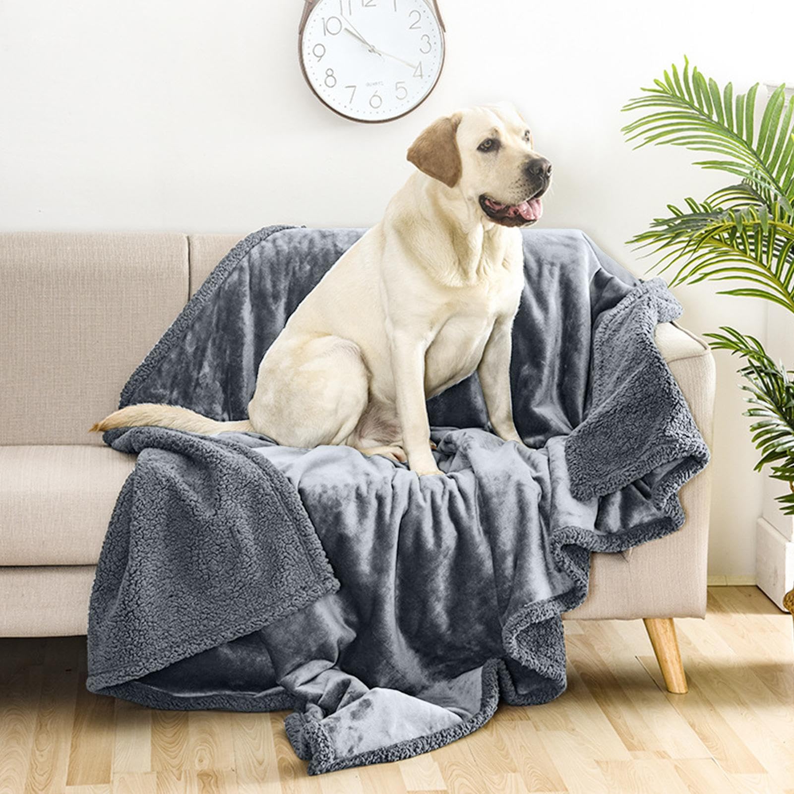 Generico Protector De Muebles De Polar - Manta Impermeable | De Franela | Estampada, Mantas De Franela Para Mascotas Espesadas, Mantas Impermeables Para Gatos, Manta Lavable Para Mascotas