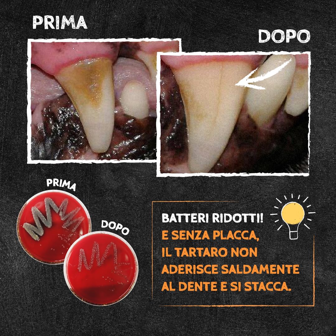 QCHEFS Dental Flakes per Cani - Snack per la Cura dei Denti - Rimuovere Il tartaro - per Chi soffre di allergie - Contro l'alito Cattivo e Le gengiviti - Antibatterico
