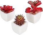 Miniature Mixed Artificial Succulent Plants in Square White Ceramic Planter Pots, Set of 4