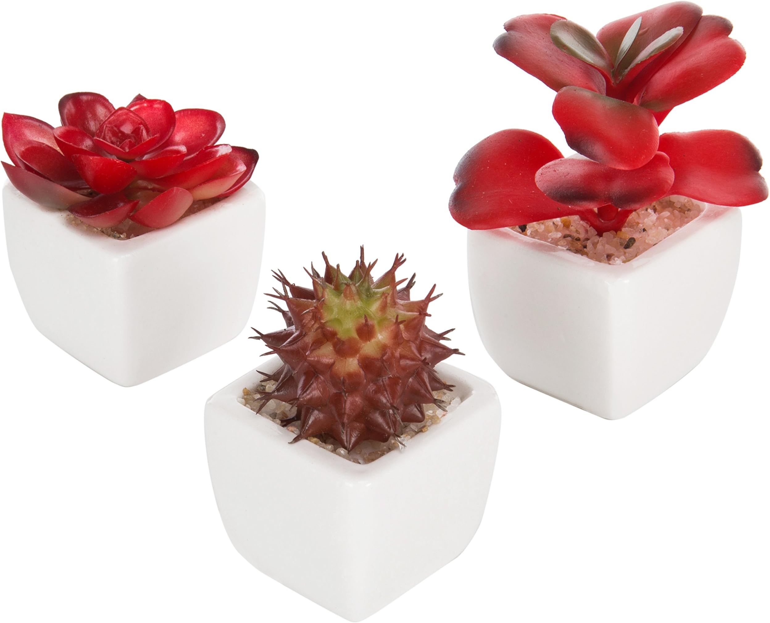 Assorted Artificial Red Succulent Plants in White Square Pots