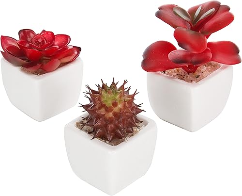 MyGift Surtido de plantas suculentas rojas artificiales, mini plantas falsas del desierto en macetas cuadradas blancas, juego de 3