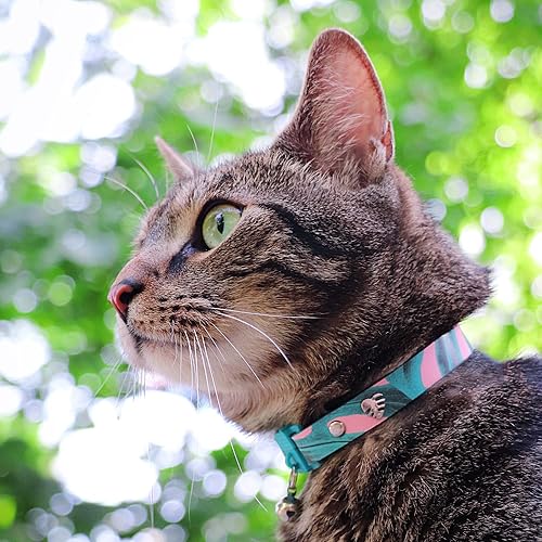 Vista 95 de Kittyrama Collar de gato Aqua con campana, ganador del premio, aprobado por veterinarios, liberación rápida, ligero y cómodo