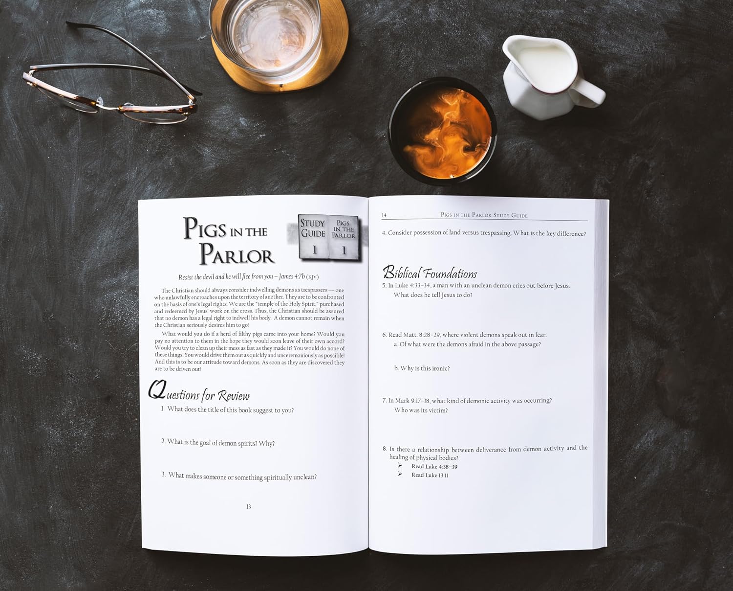 STUDY GUIDE: Pigs in the Parlor - Image 4