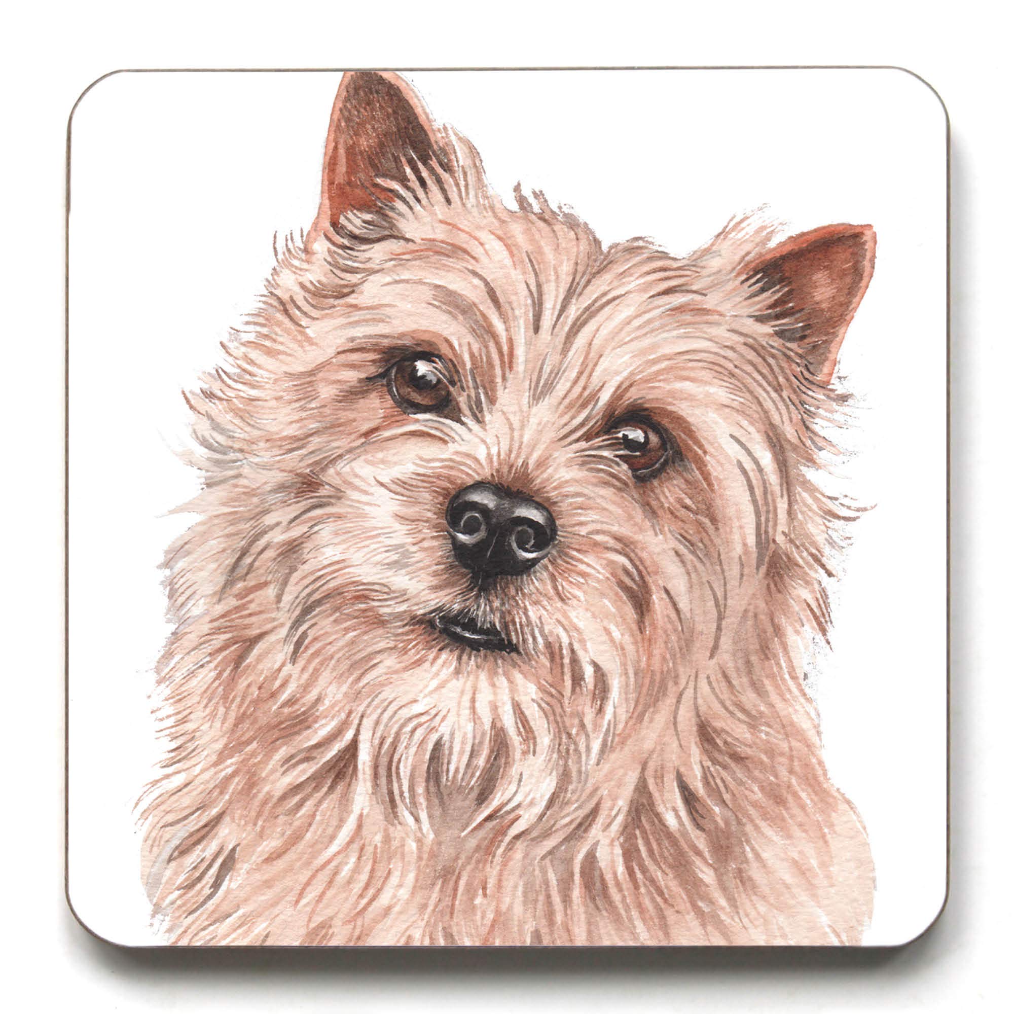 Norwich Terrier Coaster (CST-194)