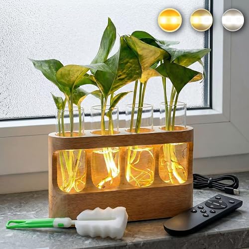 Plant Propagation Station with LED Grow Light, Rechargeable Wooden Desktop