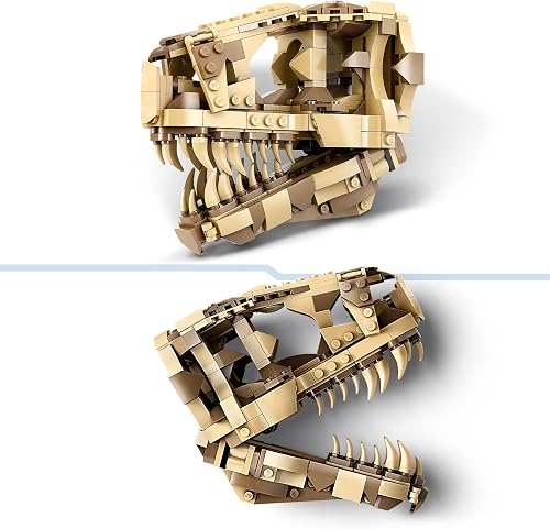 LEGO Jurassic World Les Fossiles de Dinosaures Le Crâne du T. Rex, Jouet de Dinosaure à Construire, Déco pour la Chambre d'enfant, Squelette avec Empreinte, Cadeau pour Garçons et Filles 76964 - 5