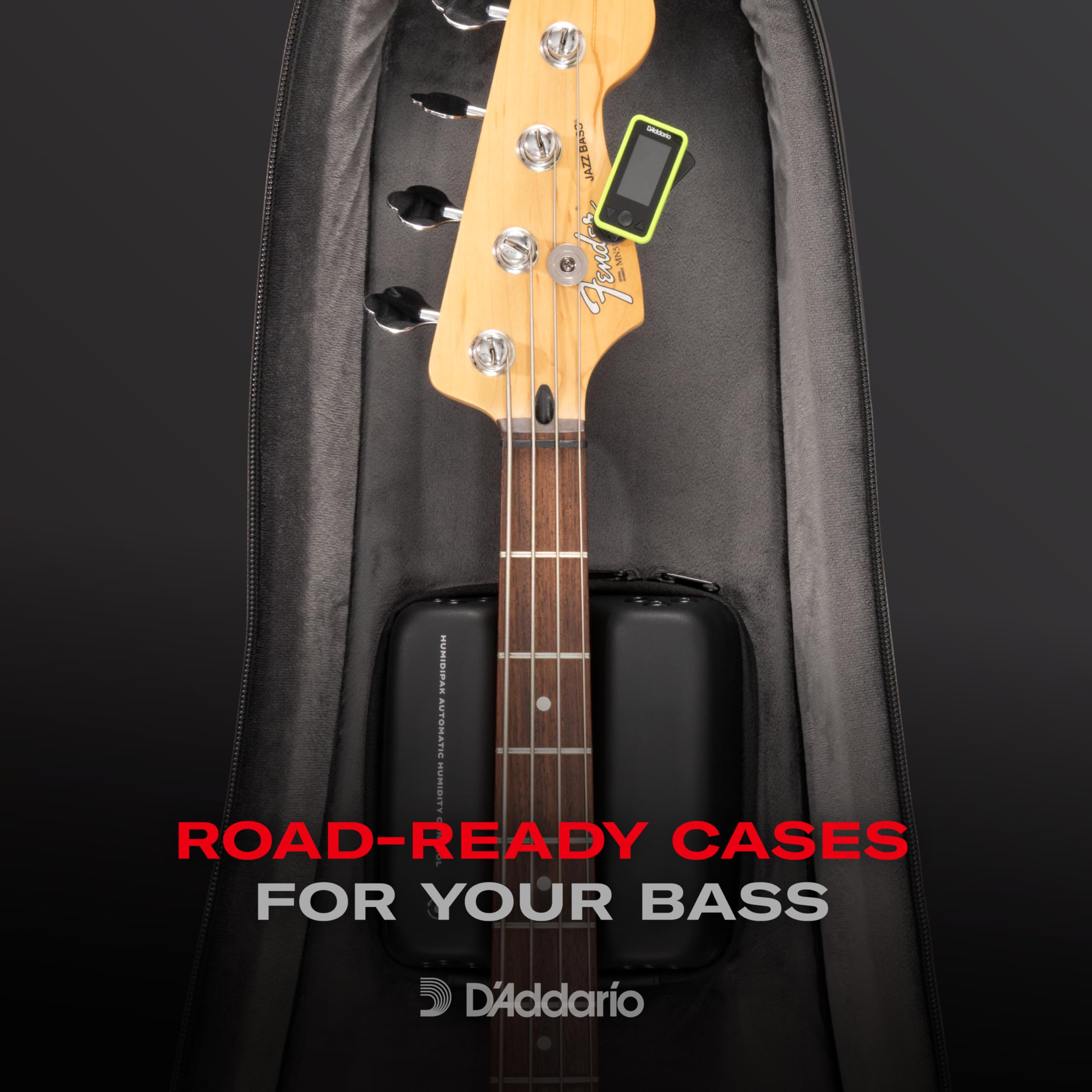 Estuche Instrumento D'Addario Backline
