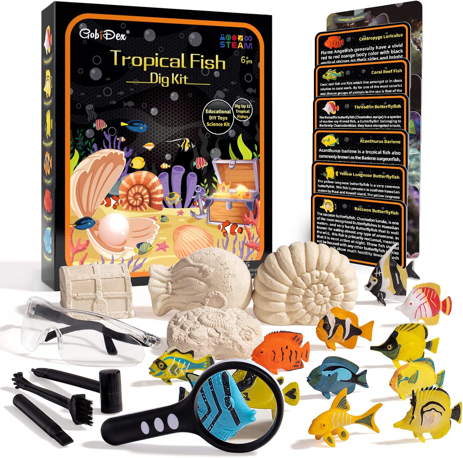 Ocean Fish Dig Kit, Excavate 12 Sea Fish Toys Set, Ocean