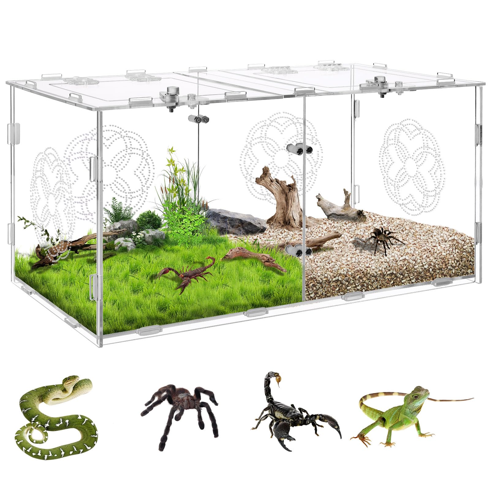 Akrylowa obudowa pająka z podwójnymi przegródkami, terrarium dla gadów, akwarium, zbiornik do hodowli gadów, pająków, węża, jaszczurki