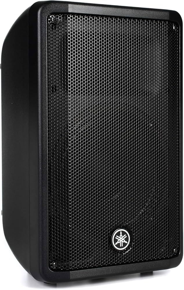 Amazon.com: YAMAHA CBR10 10-inch 700W Passive Speaker, Black