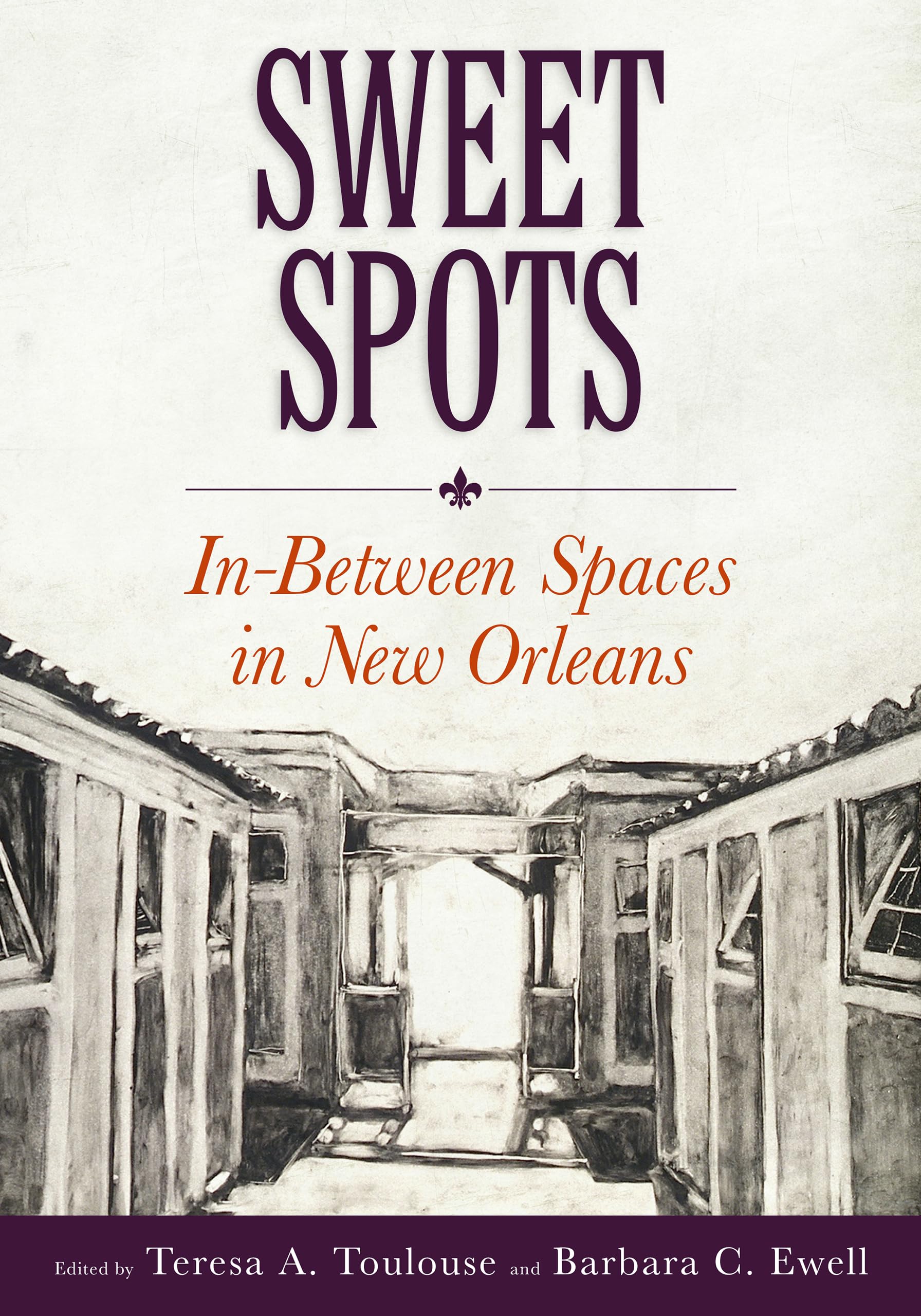 Livre de photographies Sweet Spots de la Nouvelle-Orléans par un éditeur d'art