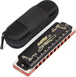 Easttop Gaita Chave C 10 Buracos 20 Tons Gaita C Blues com Capa Alta Grau Resistente para Jogadores Profissionais, Iniciantes, Estudantes, Crianças, Presente Infantil (East Top) - Preto