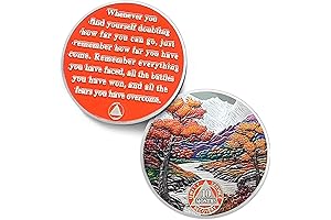 10000 Days Sober Coin: Autumn Landscape