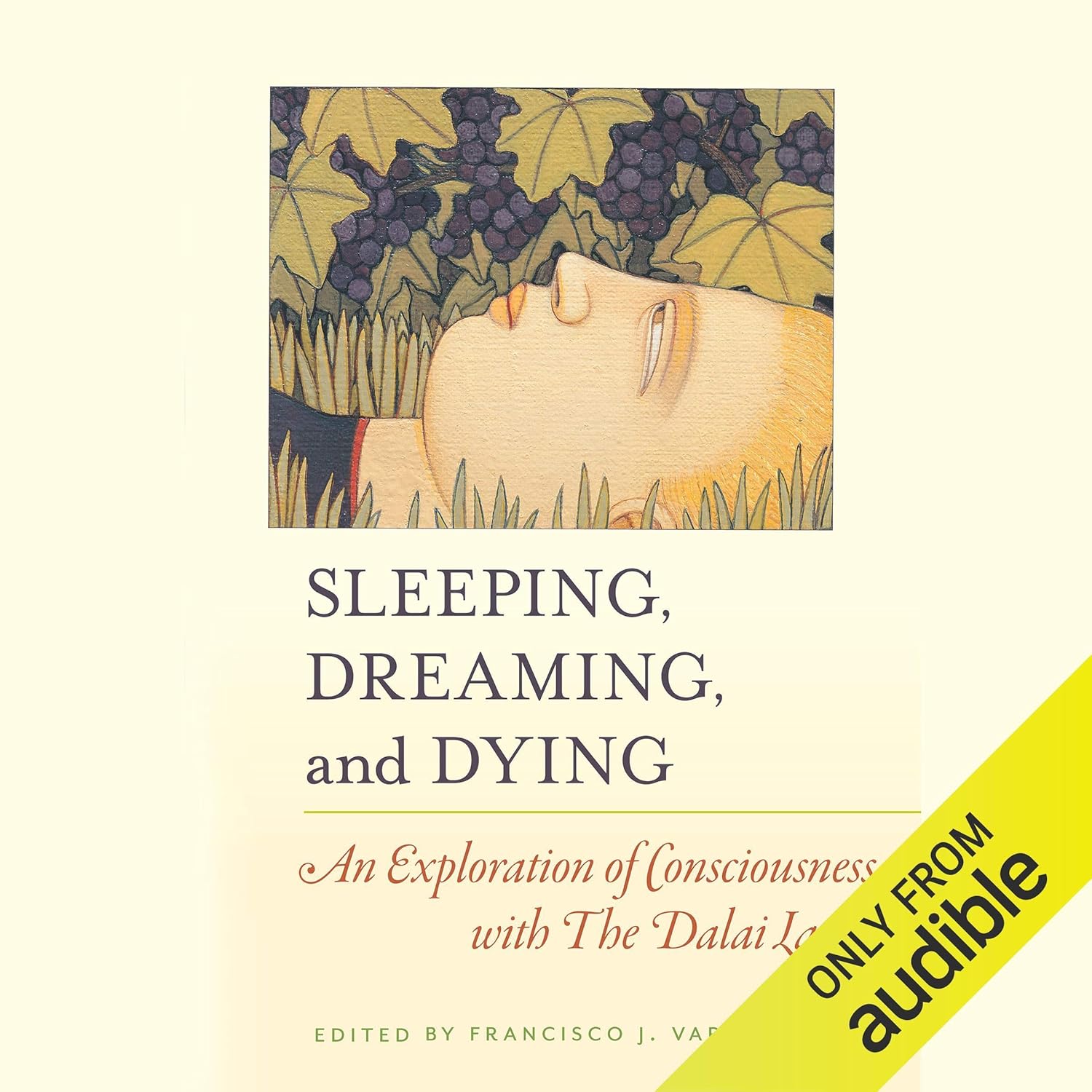 An Exploration of Consciousness
