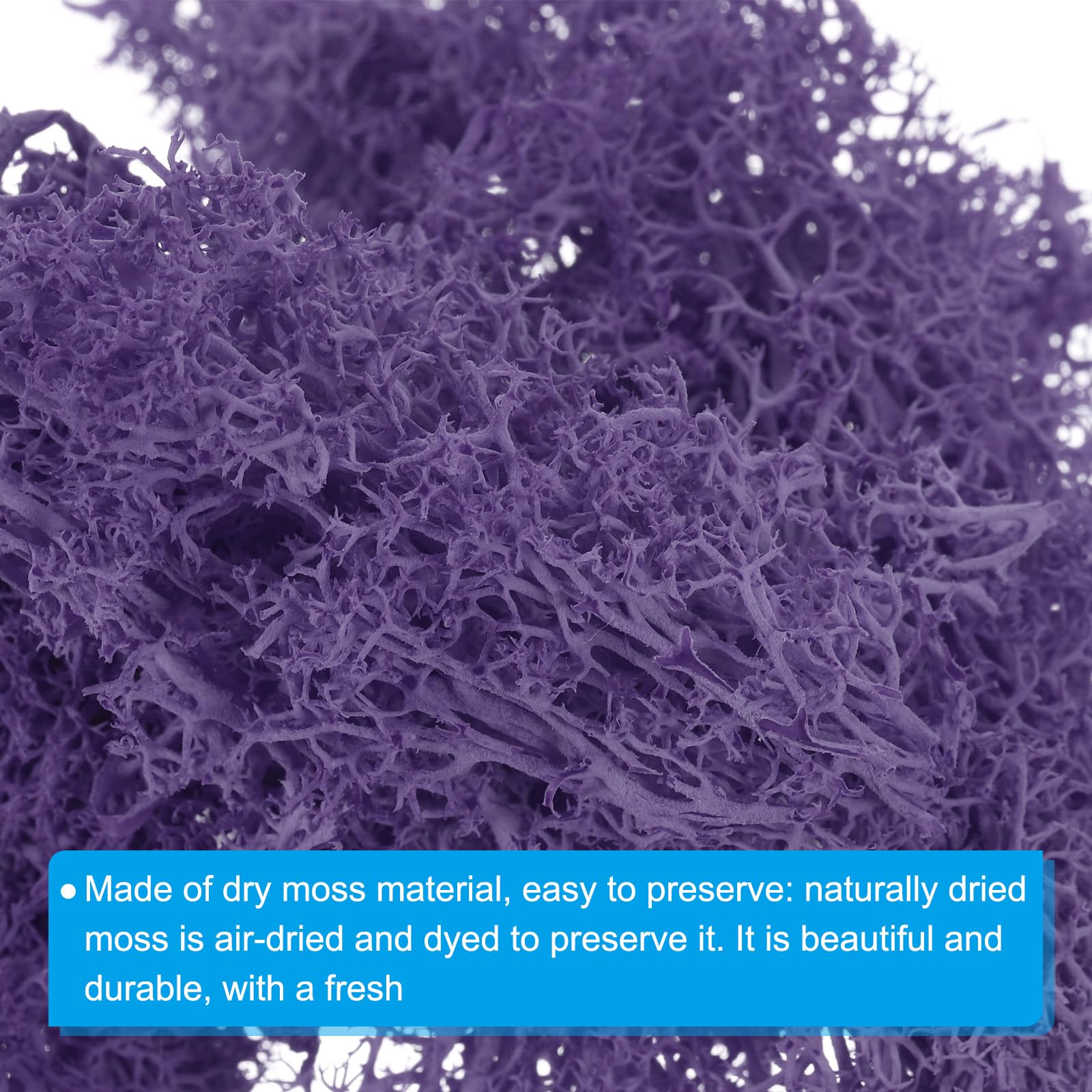PATIKIL Muschio Conservato Bianco 50g - Finto Lichene Per Composizioni Floreali, Centrotavola E Decorazioni Natalizie - 2