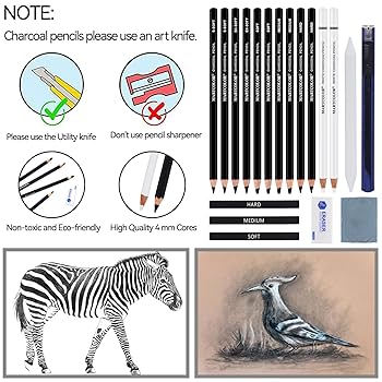 ⭐️プレーンチャコールドローイングチャコールペン-8パックのドローイング Amazon | プロフェッショナルプレーンチャコールドローイング