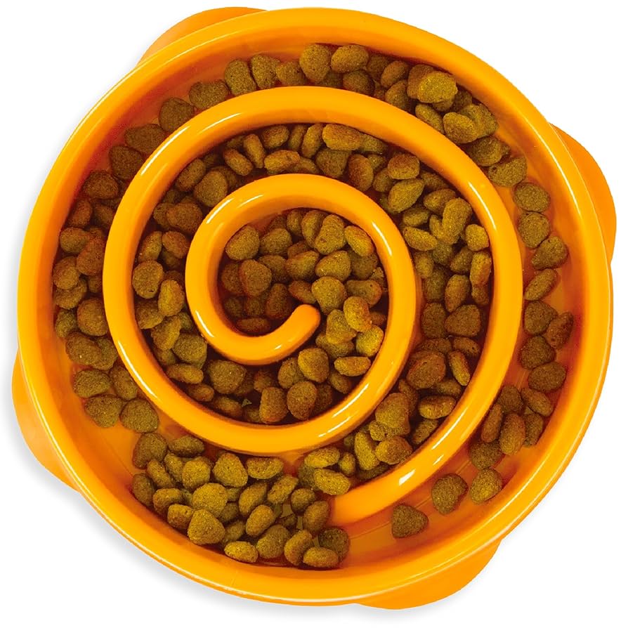 Amazon.com: Outward Hound Medium Slow Feeder Bowl, Puzzle