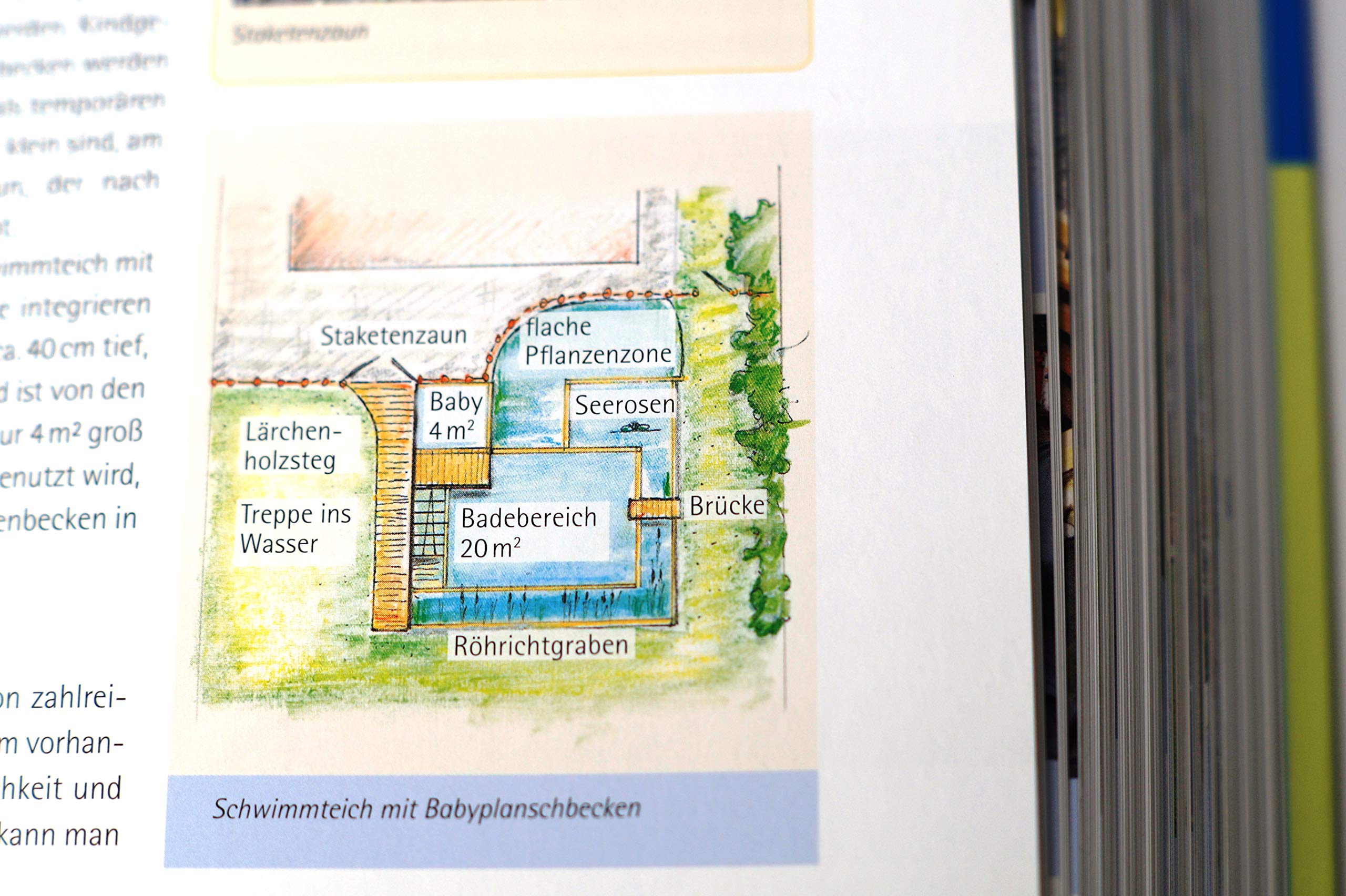 Handbuch Wasser im Garten. Wasser sparen, nachhaltig nutzen, Teiche und Biotope planen und anlegen