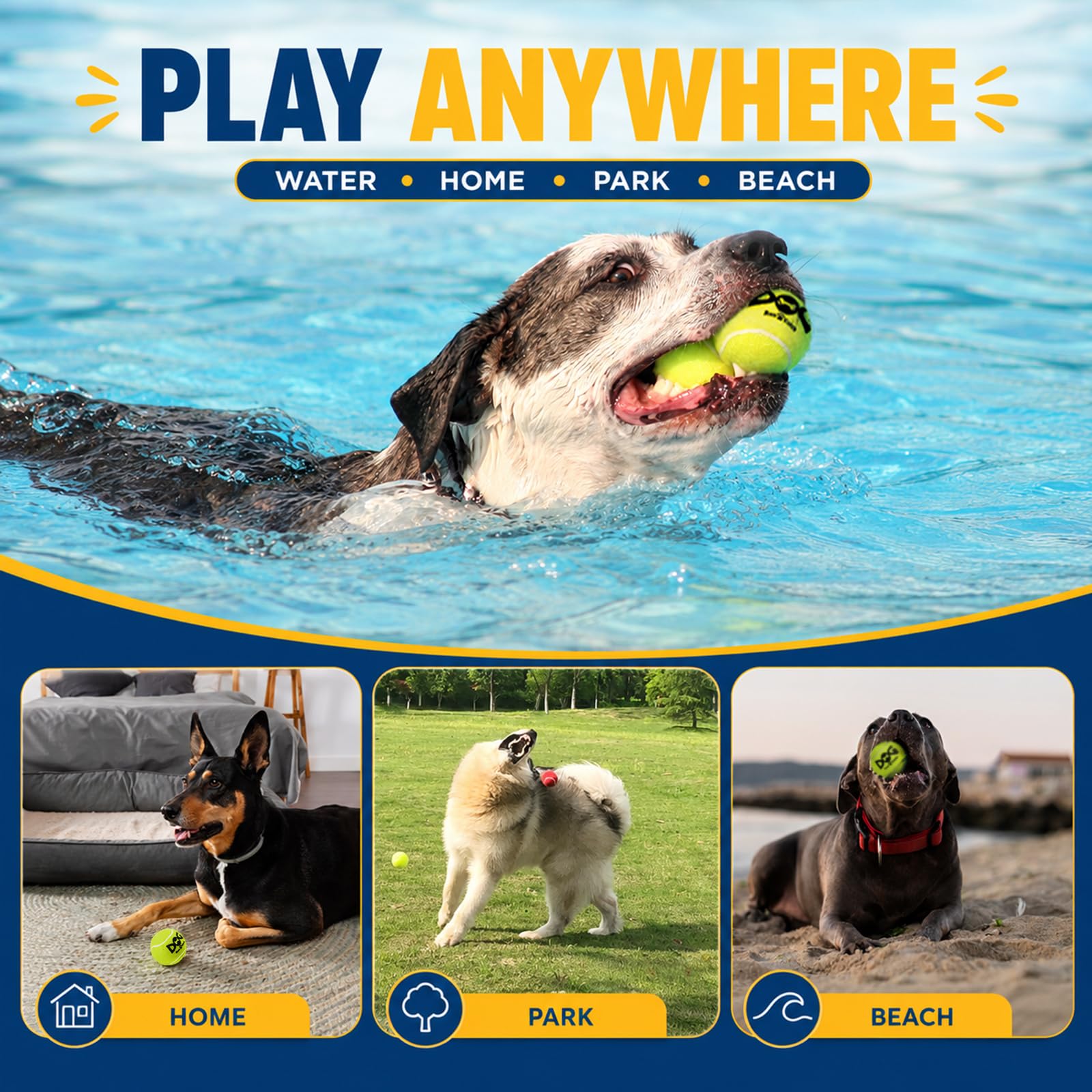 INSUM Quietschende Tennisbälle für Hunde, 6,3 cm, langlebig, ungiftig, Outdoor-Hundespielzeug, Bälle mit Netztasche, SGS-zertifiziert, buntes Apportierspielzeug, mittelgroße und große Rassen, 50 Stück