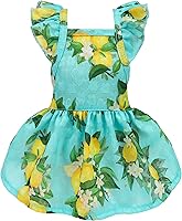 Vista 1 de Fitwarm Vestido de perro de limón, ropa para perros pequeños y niñas, ropa de gato para mascotas, azul turquesa, amarillo, verde, XXS