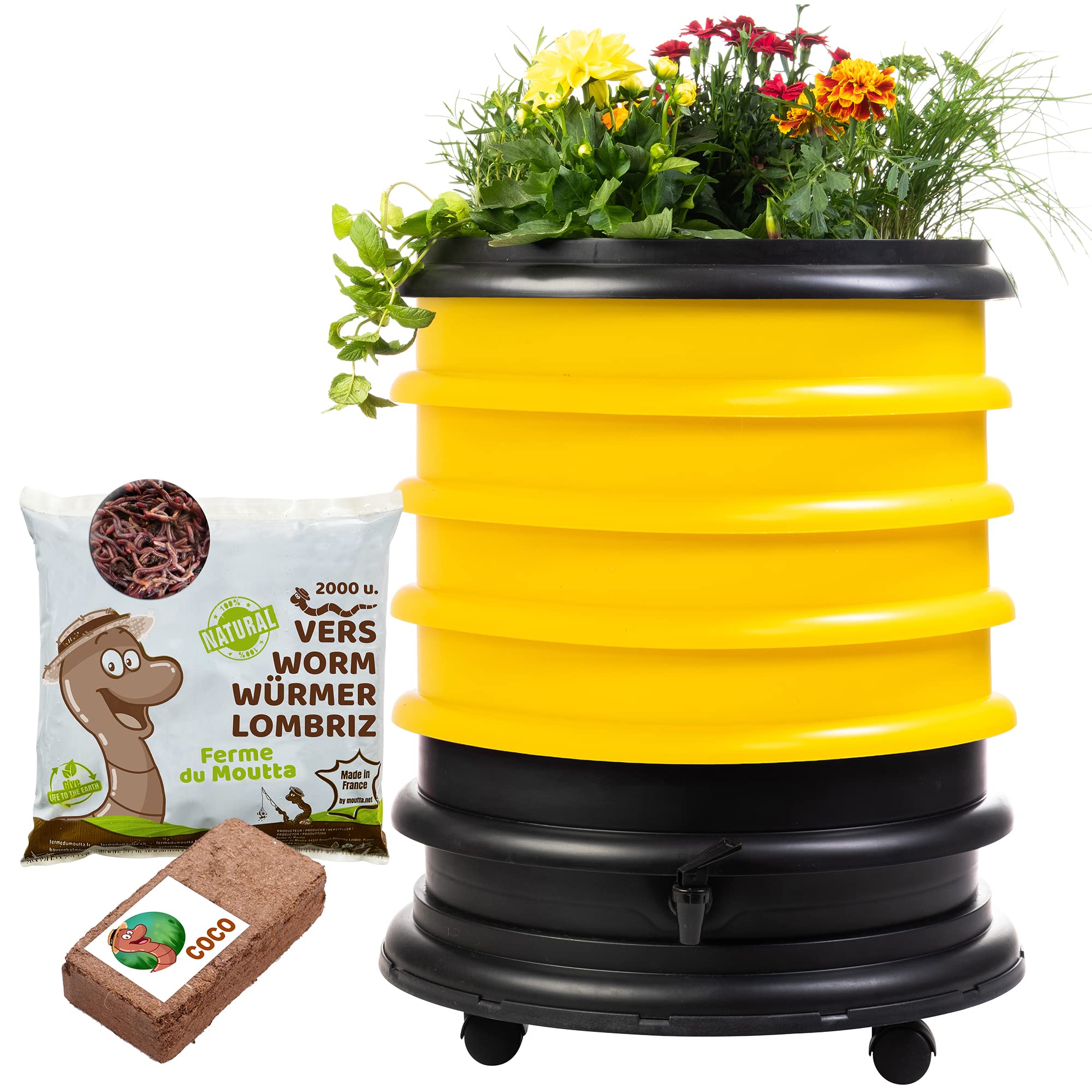 wormbox lombricomposteur