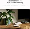 Google 4K TV Streamer - Fast Entertainment Stream to Your TV with Voice Search Remote - Watch Movies, Shows, Live Shows and Netflix in 4K HDR