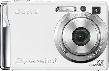 Amazon.com : Sony Cybershot DSCW80 7.2MP Digital Camera with