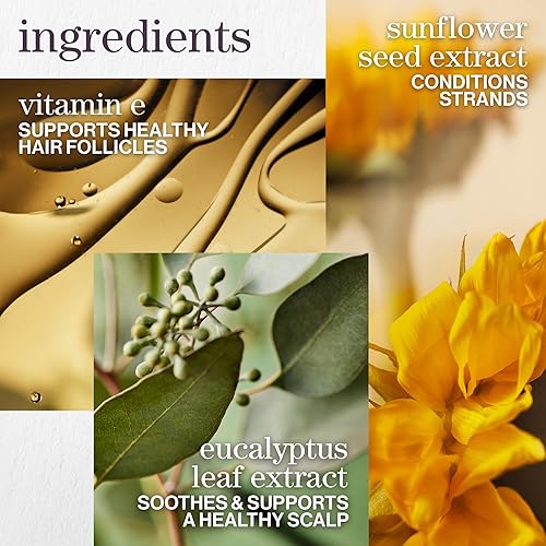 Miniatura 5 de Pureology Champú de volumen puro para cabello plano fino tratado con color añade volumen ligero sin sulfatos vegano embalaje actualizado