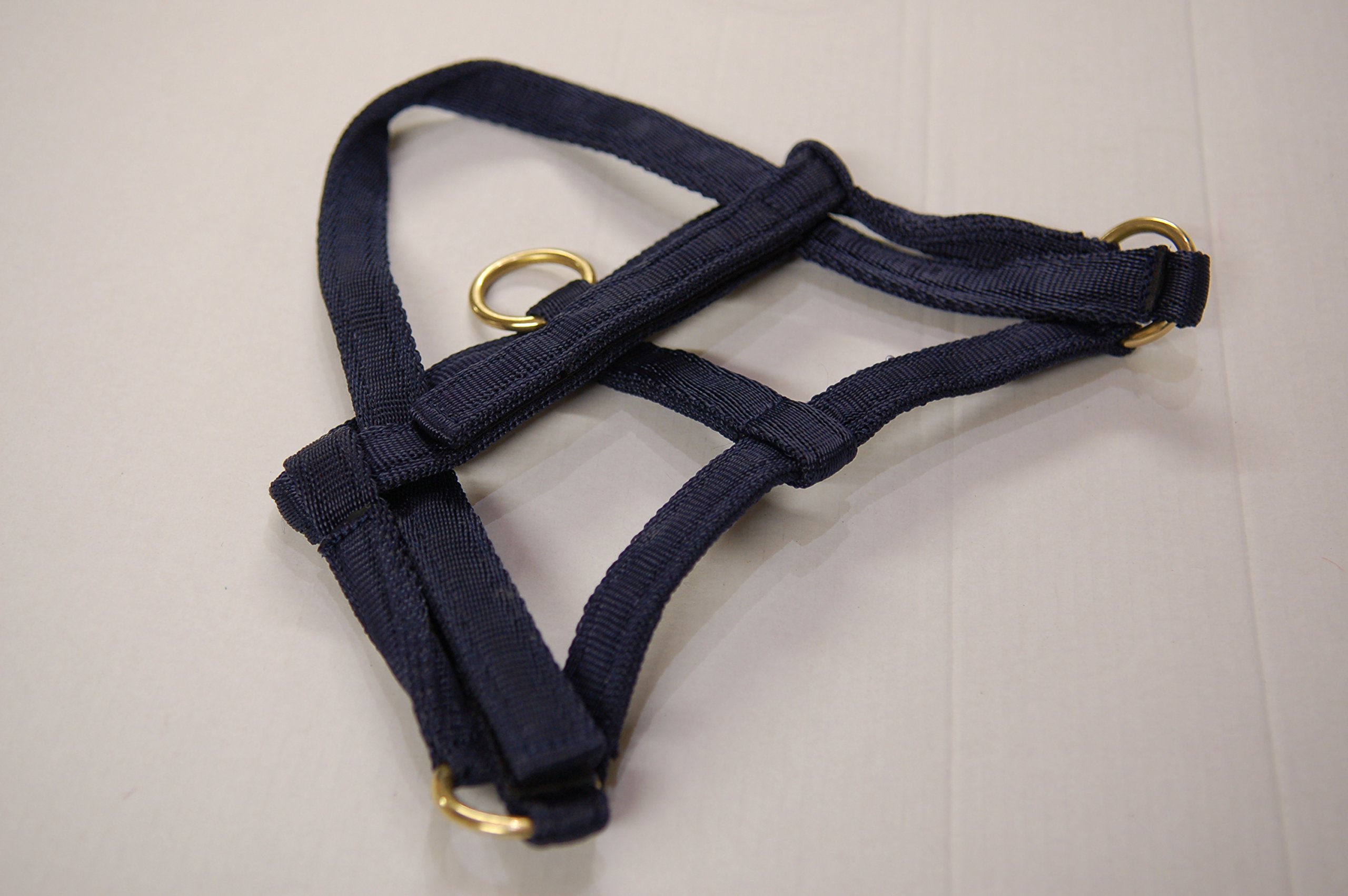 IV Horse Wee Pony Safety Turnout Headcollar (Navy, Small) — image 1