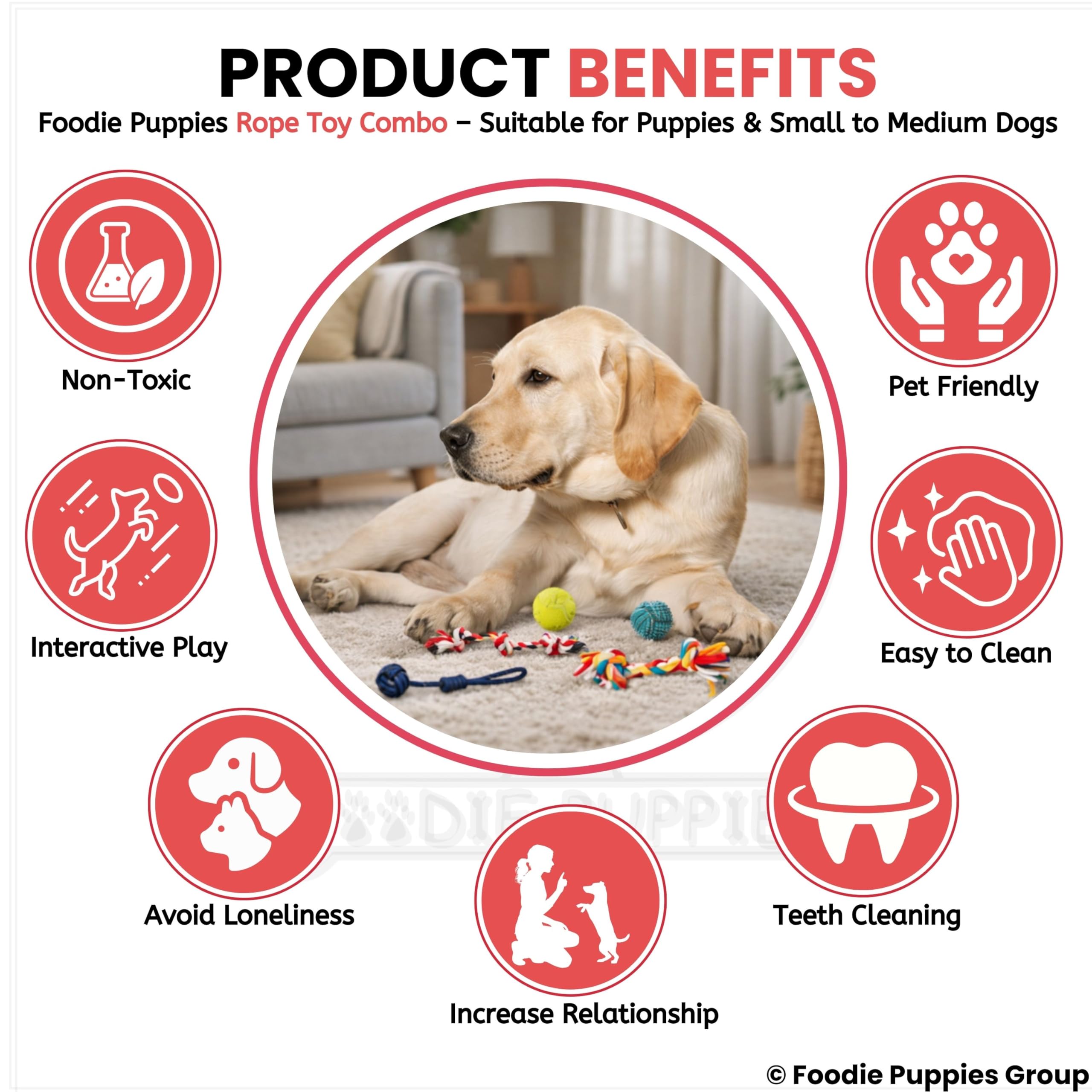 Foodie Puppies 5-in-1 chew Toy Combo Includes Ropes and Squeaky Balls, Supporting Teething, Training, Chewing, Fetching, and Active Play for Small Dogs. (Color May Vary) 4